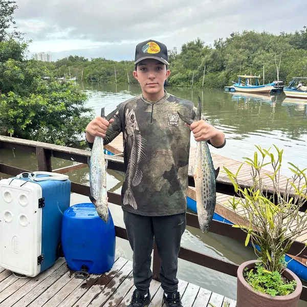 Robalo em pescaria costeira com os amigos
