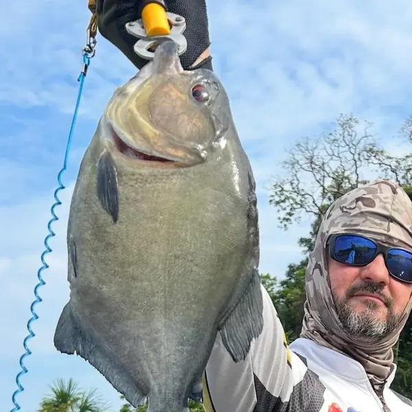Pacu em ambiente amazônico