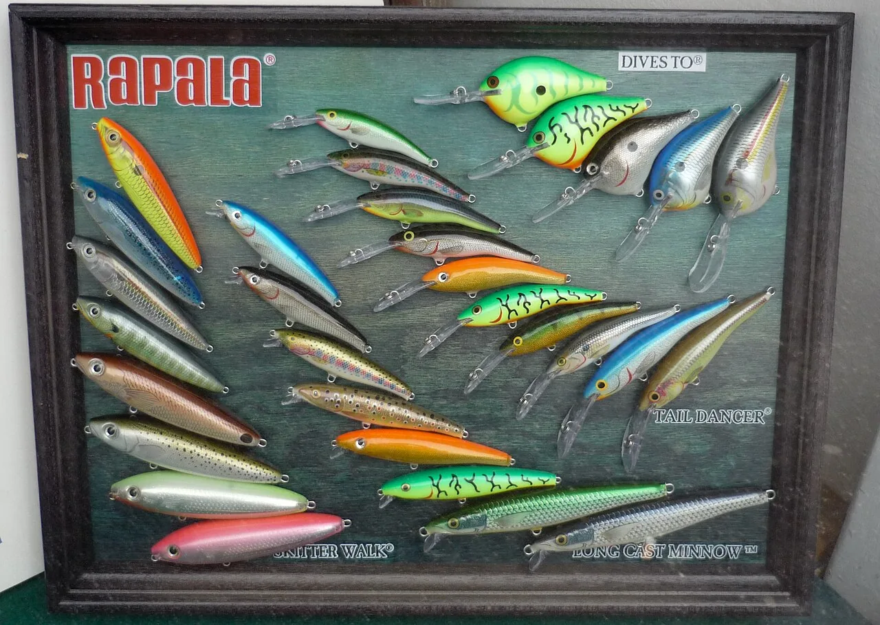 Equipamento de pesca esportiva para iniciantes: guia sem complicação
